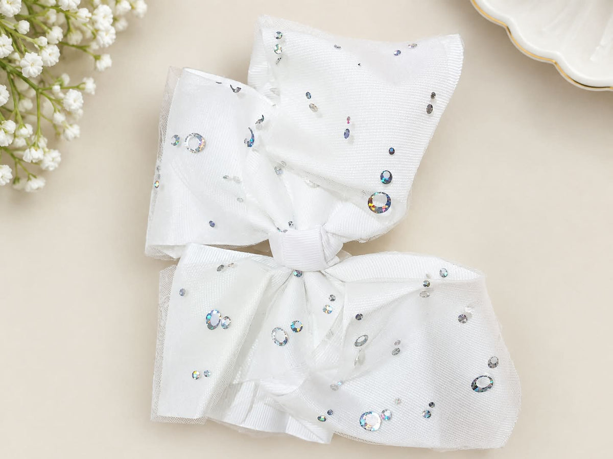 Big Bow Clip